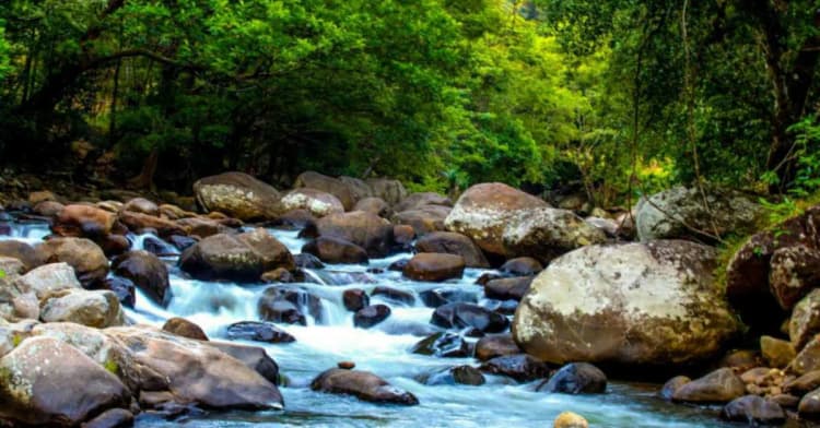 Belihuloya / Glamping