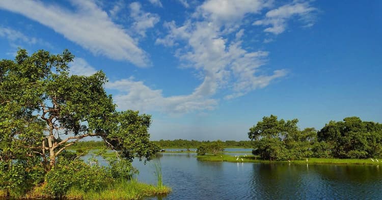 Beach Day & Kalametiya Bird Sanctuary