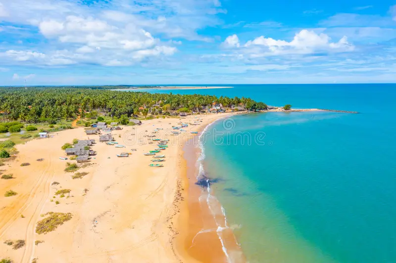 Kalpitiya Kite Surfing