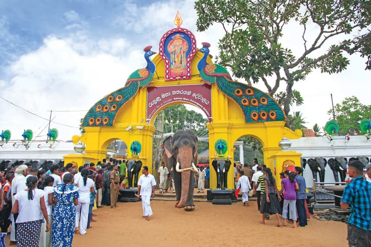 Katharagama & Yala Safari