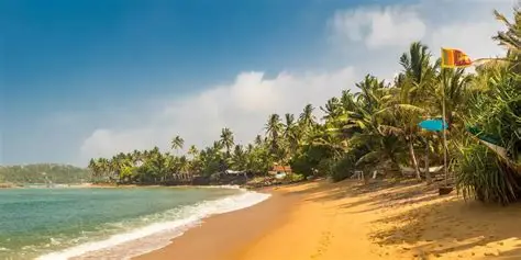 Arrival – Negombo