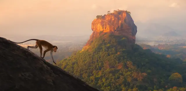 Sigiriya Rock Fortress